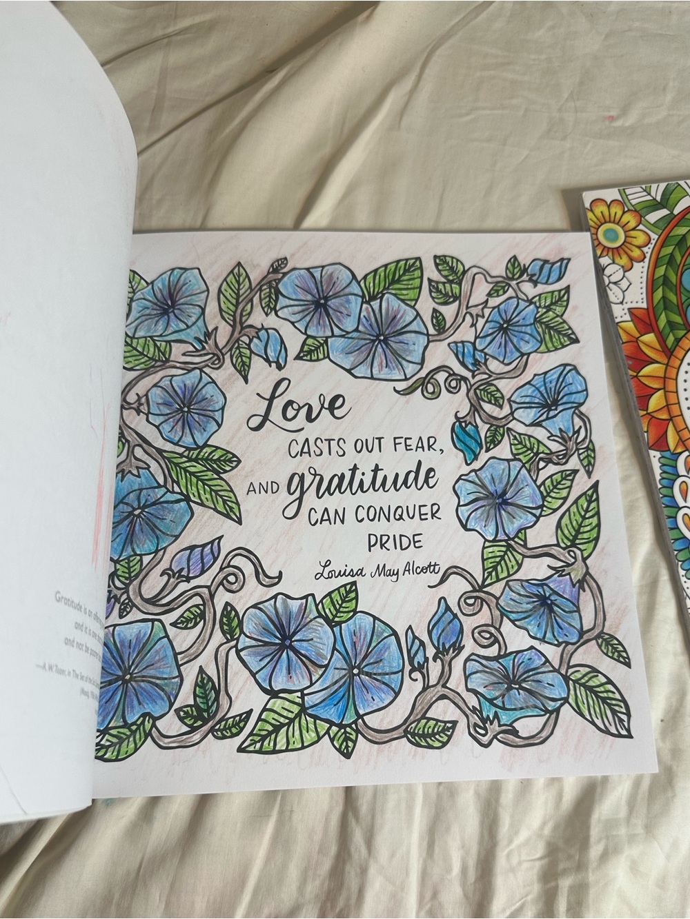 Word Coloring Book Two Pack - Picture 8 of 9
